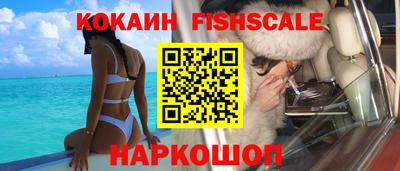 индика Прокопьевск