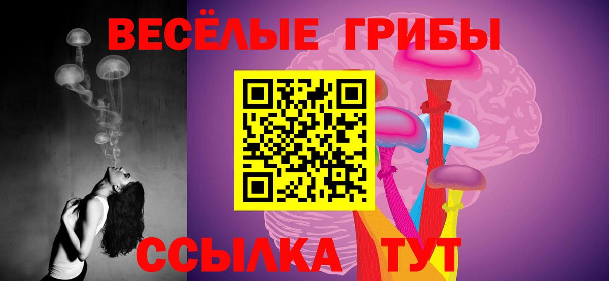 Дмитров  Галлюциногенные грибы мухоморы  Вход с VPN 